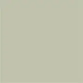Grigio seta solid color surface, matte gray-green finish, uniform tone, smooth texture, diffuse lighting, miniforms color sample.